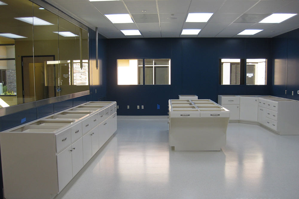 Celebration Stem Cell Centre